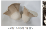 맛·영양·수출 다 잡았다…국산 버섯 품종 53종 개발, 보급률 63 돌파