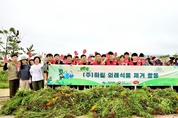 하림, 새만금에 '큰금계국' 뽑았다…ESG 경영 실천 외래식물 제거 봉사
