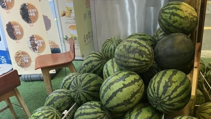 “커다란 수박 하나 잘익었나 통통통”...딸기 가고 '봄 수박' 출하경쟁