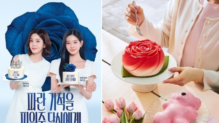 가정의 달 케이크 대전…‘2만원대 가성비’ vs ‘감성 프리미엄’ 양분화