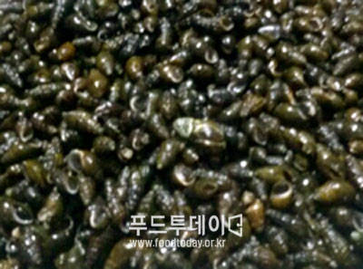 올갱이