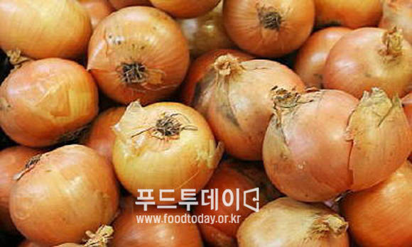 양파