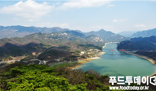 자연의 도시 충북 제천시(시장 이근규)가 ‘슬로시티’ 활성화를 중심으로 거듭나고 있다. 사진은 청풍호 전망대에서 바라보는 금수산 자락과 옥순대교 전경.